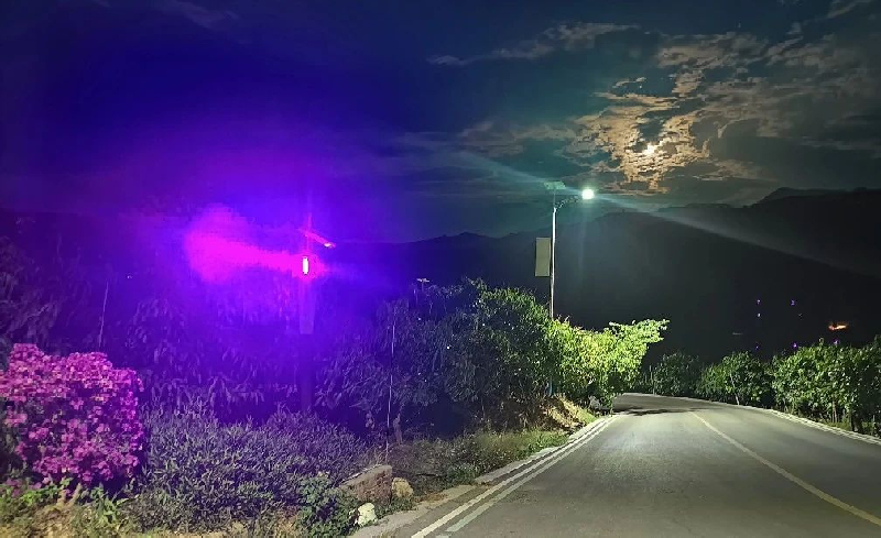 紫色防护灯“点亮”云南丽江华坪县荣将镇龙头村果子山万亩芒果园