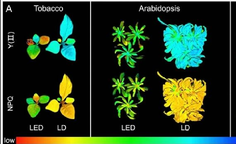 东京大学科研团队研究发现：激光二极管(LD)照明优于LED