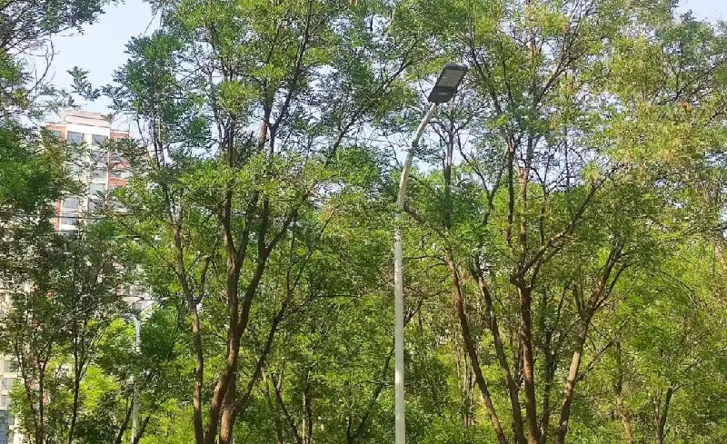 河北衡水市区282盏新型LED灯陆续“上岗” 