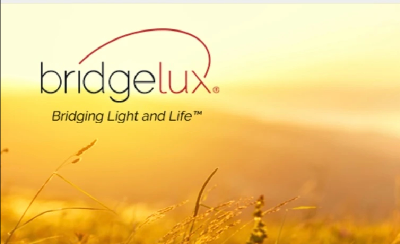 普瑞Bridgelux启用全新防伪码贴纸