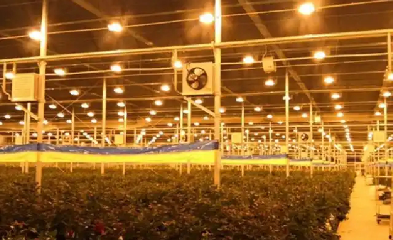 两项“农业用LED光照系统”标准形成征求意见稿