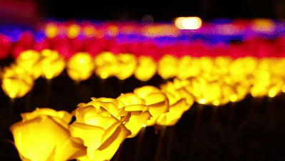 微信图片_20230316150334.gif