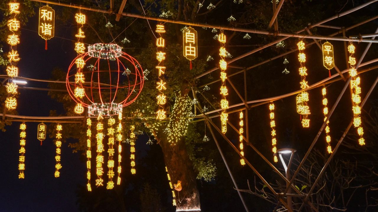 灯都生态湿地公园夜景图片