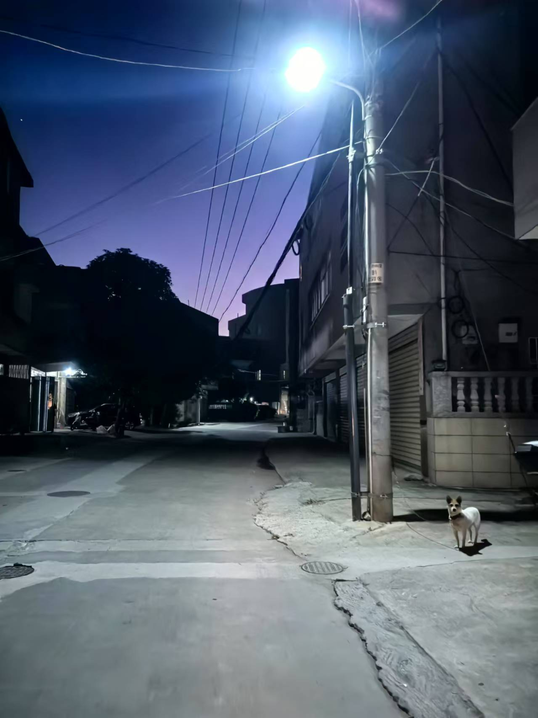 1733362639517064.png 微信图片_20241205093928.png