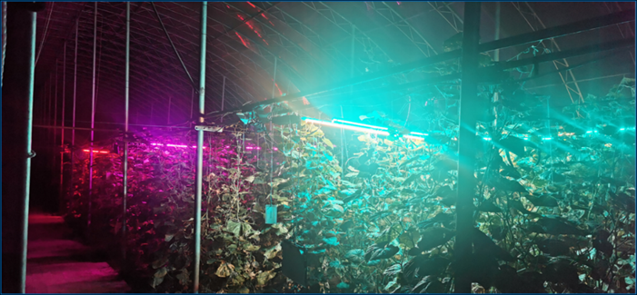 1743059414618841.png 微信图片_20250327150900.png