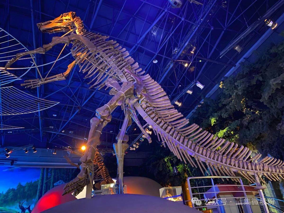 1743400275427372.jpg 微信图片_20250331134912.jpg