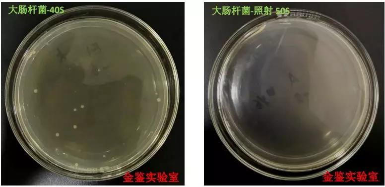 uv led紫外線殺菌效果該怎麼評估