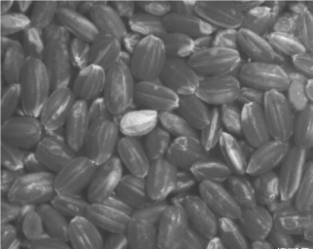 1610088417286548.png 微信截图_20210108144636.png